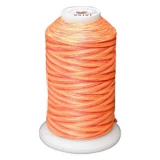 Exquisite Medley Variegated Thread - 101 Sunset