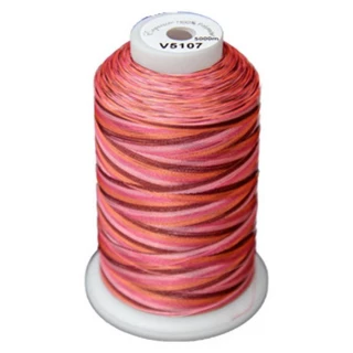 Exquisite Medley Variegated Thread - 107 Summer Berries