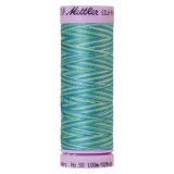 Silk Finish Cotton Multi 100m 5ct SEASPRAY BOX05