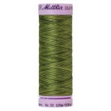 Silk Finish Cotton Multi 100m 5ct FERNS BOX05