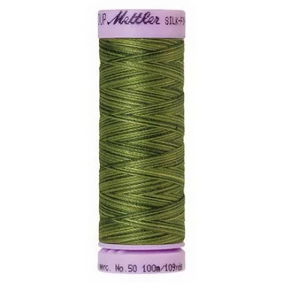 Silk Finish Cotton Multi 100m 5ct FERNS BOX05