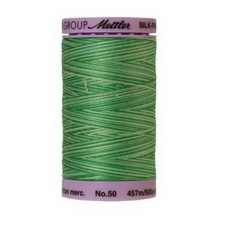 Silk Finish Cotton Multi 457m 5ct MINTY BOX05