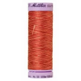 Silk Finish Cotton Multi 100m 5ct TERRA TONES BOX05