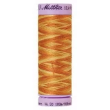 Silk Finish Cotton Multi 100m 5ct LIONS MANE