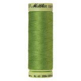 Silk Finish Ctn 60wt 220yd 5ct FOLIAGE BOX05