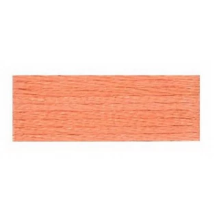 Embroidery Floss 8.7yd 12ct APRICOT BOX12