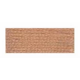 Embroidery Floss 8.7yd 12ct DARK DESERT SAND BOX12