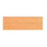 Embroidery Floss 8.7yd 12ct PALE PUMPKIN BOX12