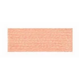 Embroidery Floss 8.7yd 12ct PEACH BOX12