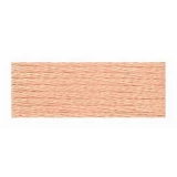 Embroidery Floss 8.7yd 12ct LIGHT PEACH BOX12