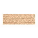 Embroidery Floss 8.7yd 12ct LIGHT DESERT SAND BOX12