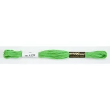 Embroidery Floss DARK PARROT GREEN BOX24