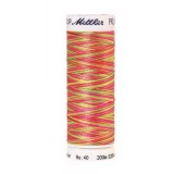 Polysheen Multi 200m (Box of 5) SPORTY NEONS